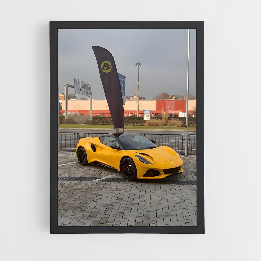 Poster Emira cœur – affiche Lotus (vue 2)
